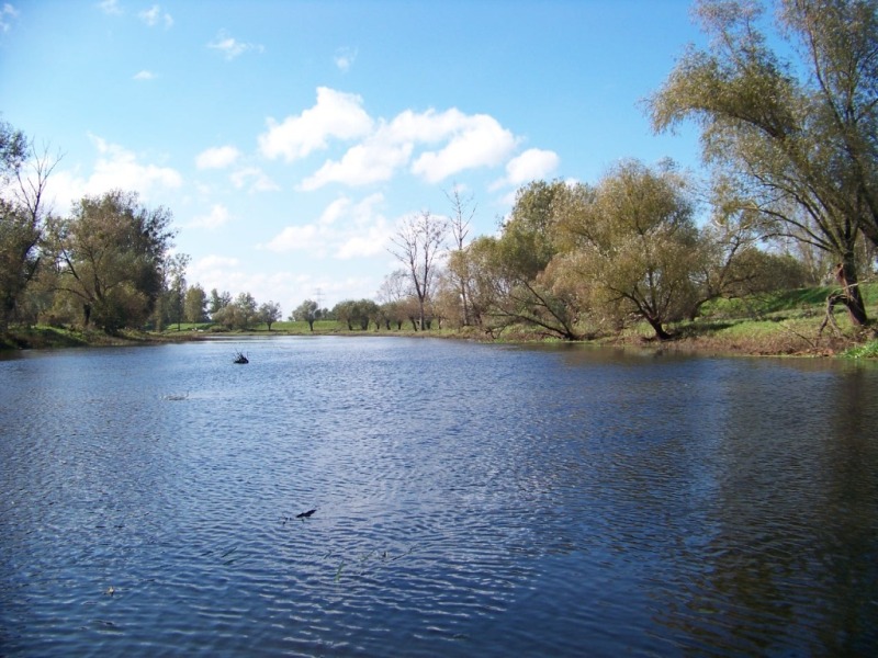 100_2303.JPG