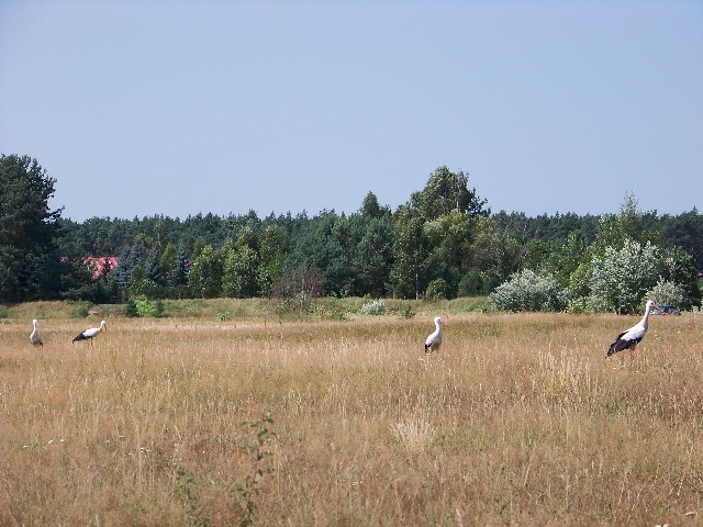 100_1046.JPG
