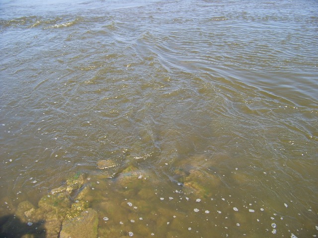 100_1061.JPG
