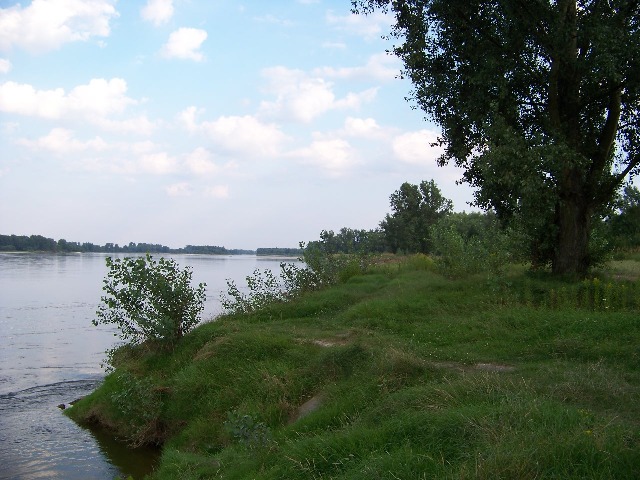 100_0994.JPG