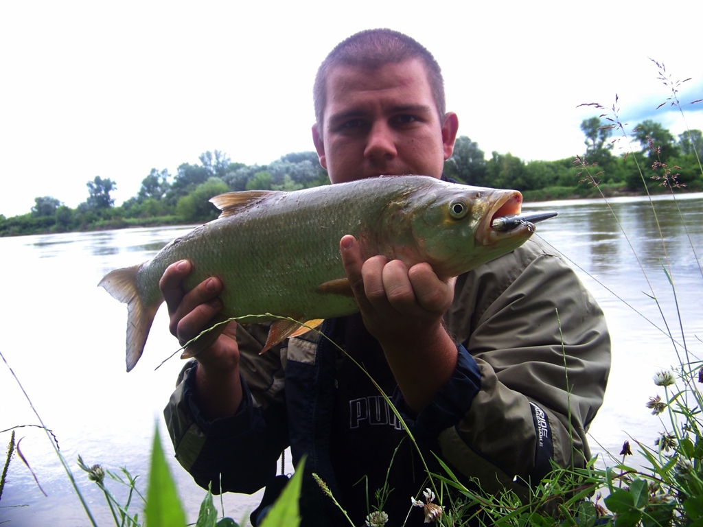 100_3627 - Kopia-001.JPG