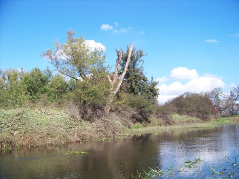 100_2296.JPG