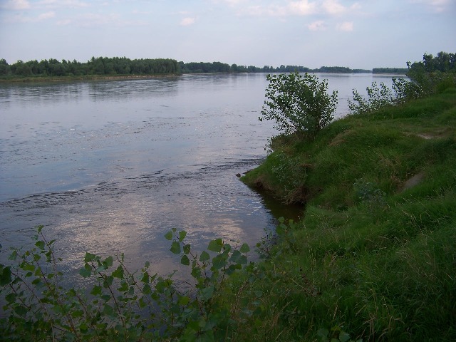 100_0993.JPG