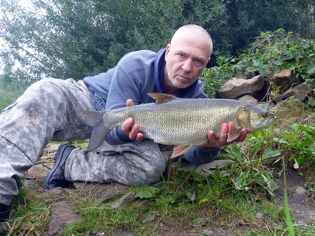 P1320433 - Kopia.JPG