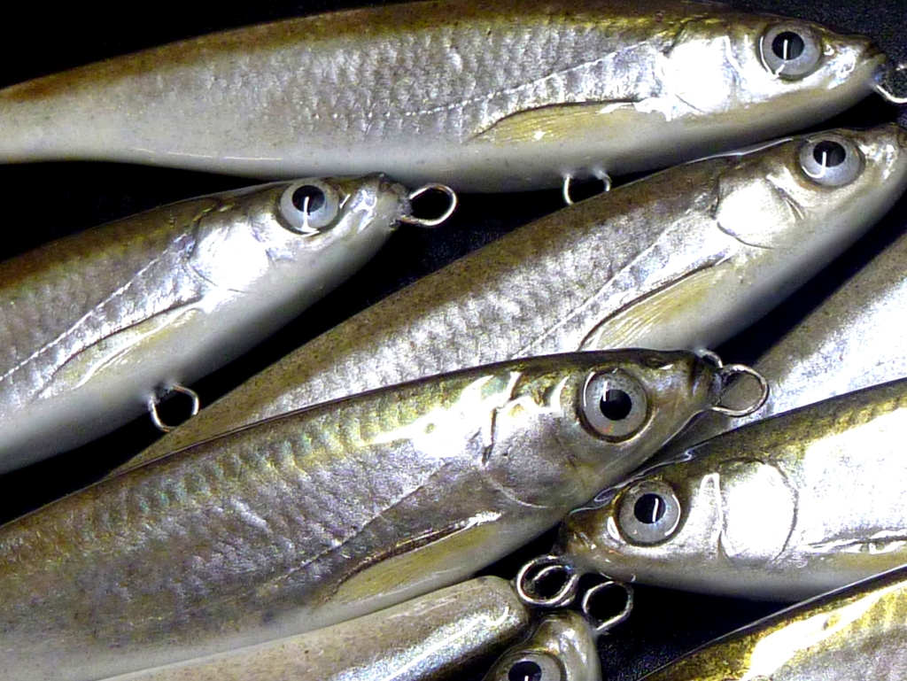 P1680759 - Kopia.JPG