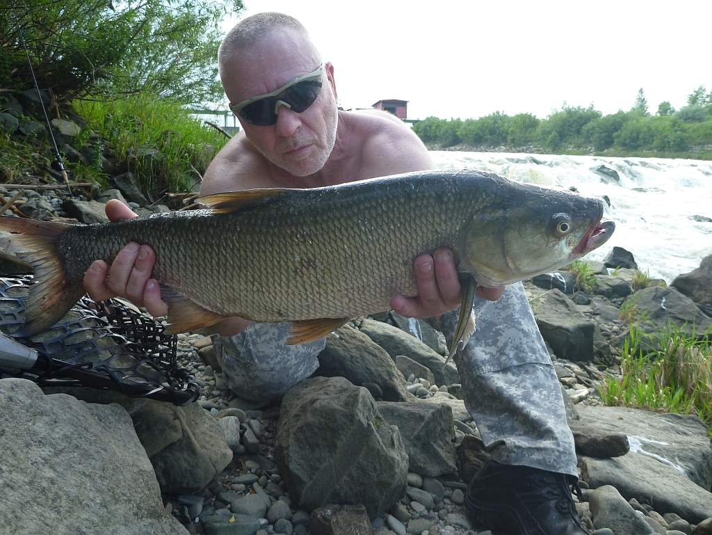 P1730735 - Kopia.JPG