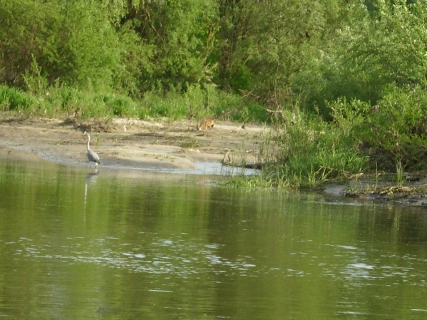IMG_0389.JPG