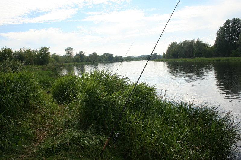 IMG_2519_1.jpg