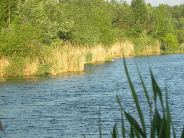 całowanie 017.jpg