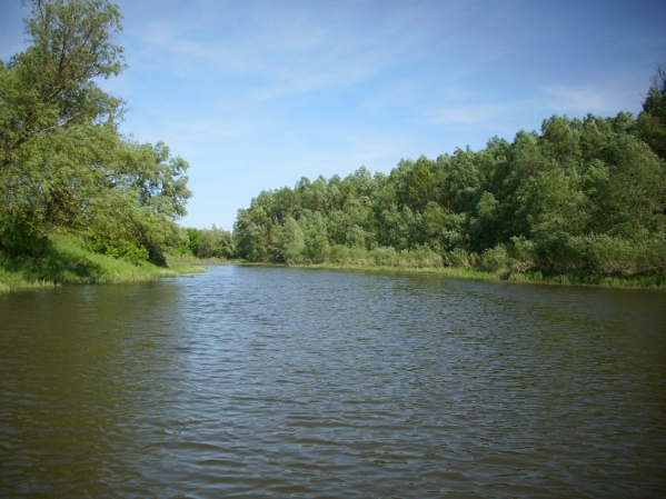 IMG_0387.JPG