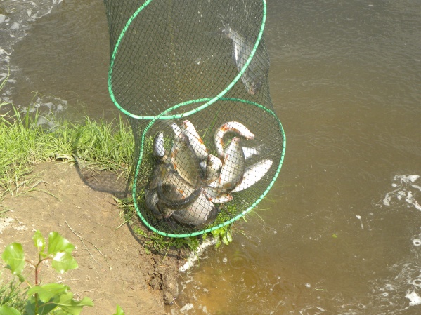 narew 1 sierpień 2010 059.jpg