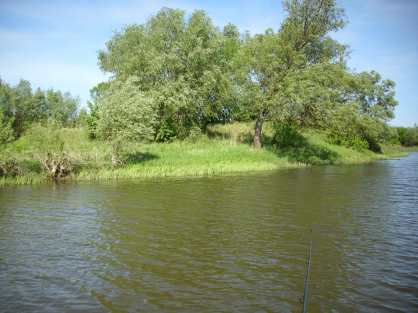 IMG_0388.JPG