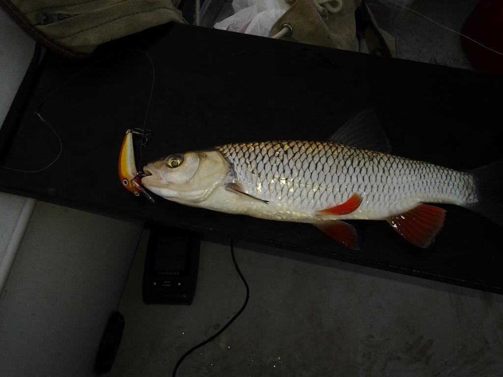 2014-06-28 04.27.27_1.jpg