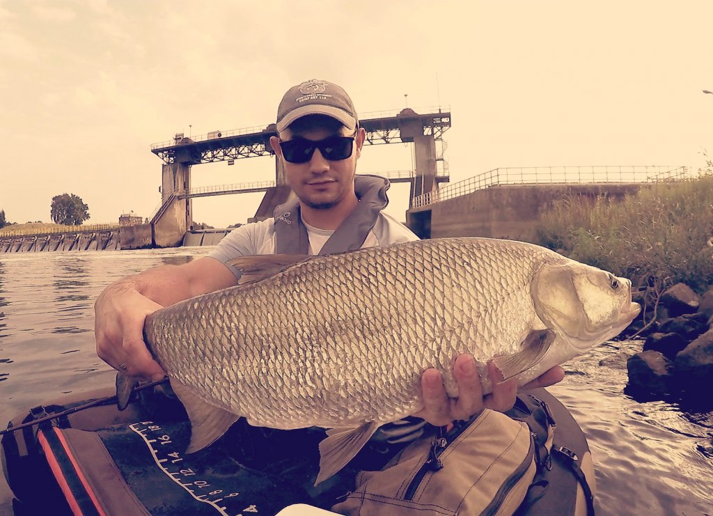 IMG_20170826_233641_382 1.jpg