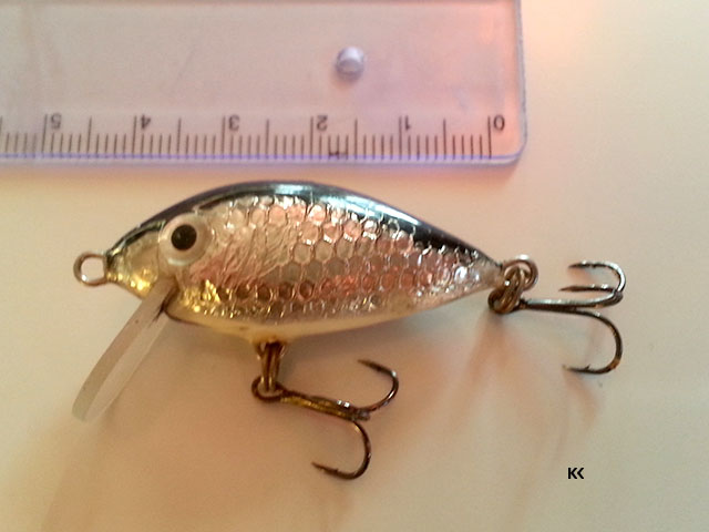 Wobler_kleniowy.jpg