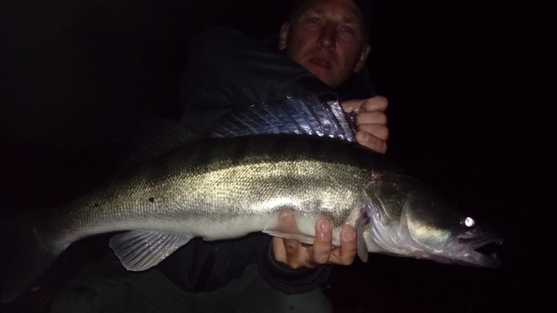 DSC_1702 (Kopiowanie).JPG