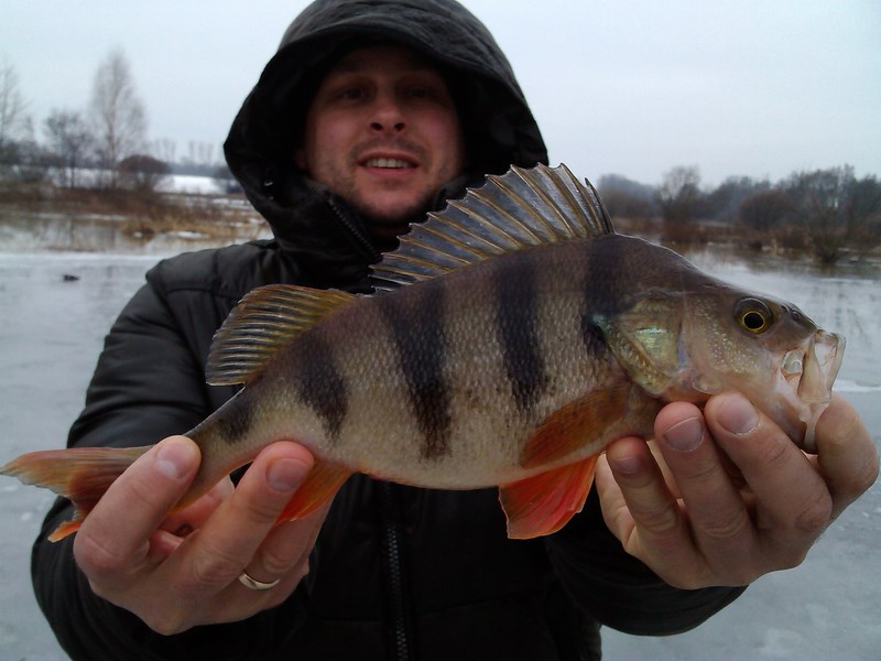 IMG_20140211_101955 (Kopiowanie).jpg