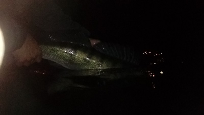 DSC_1709 (Kopiowanie).JPG