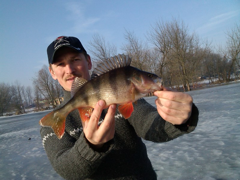 IMG_20140212_091705 (Kopiowanie).jpg