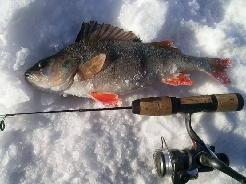 CAM00195 (Kopiowanie).jpg