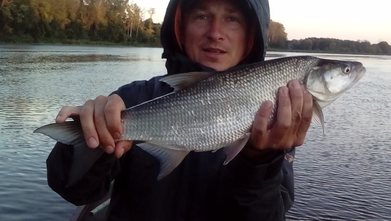 DSC_1681 (Kopiowanie).JPG