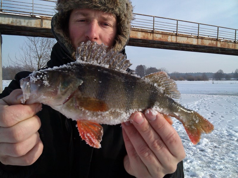 IMG_20140203_094443 (Kopiowanie).jpg