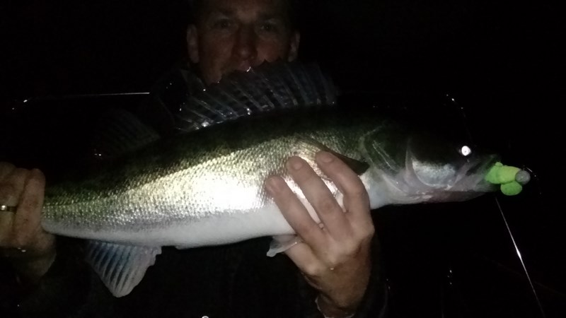 DSC_1154 (Kopiowanie).JPG