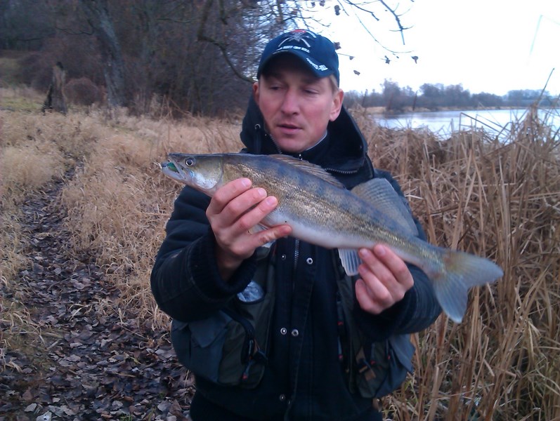 IMAG0767 (Kopiowanie).jpg