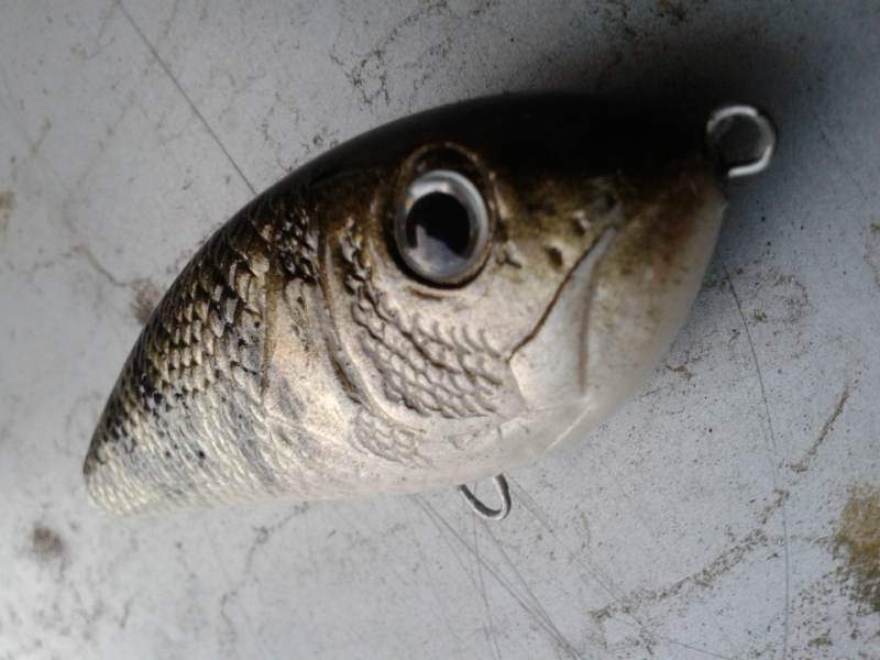 20140504_194741 (1).jpg