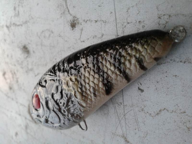 20140504_194731 (1).jpg