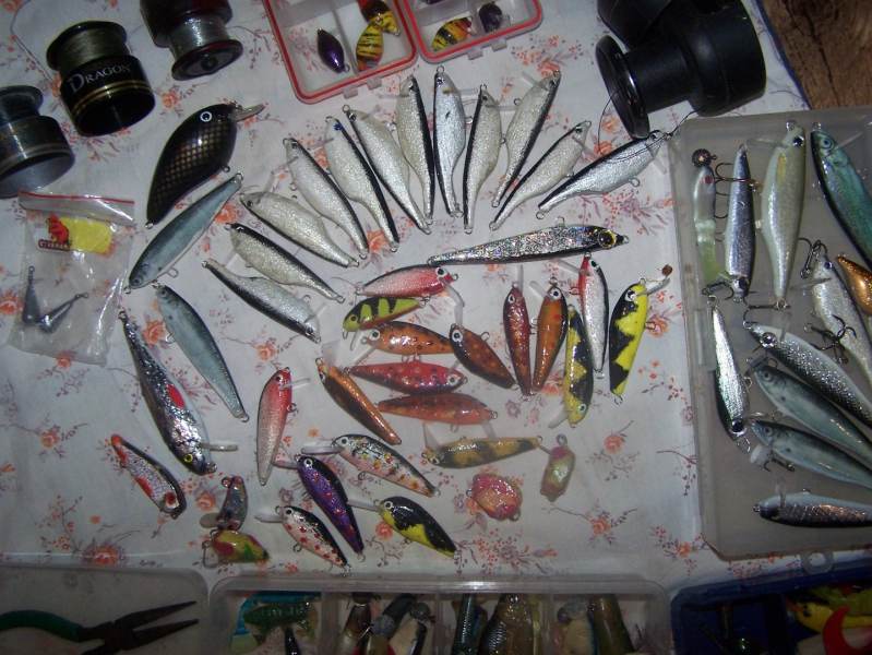 100_9638.JPG