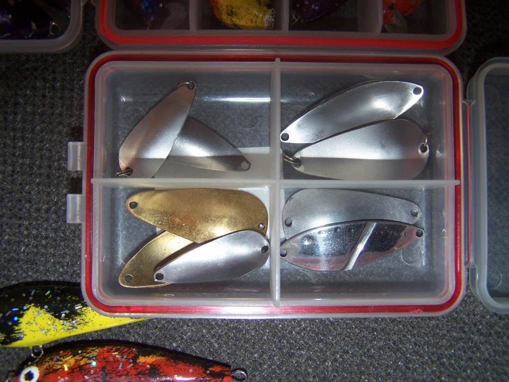 3.JPG