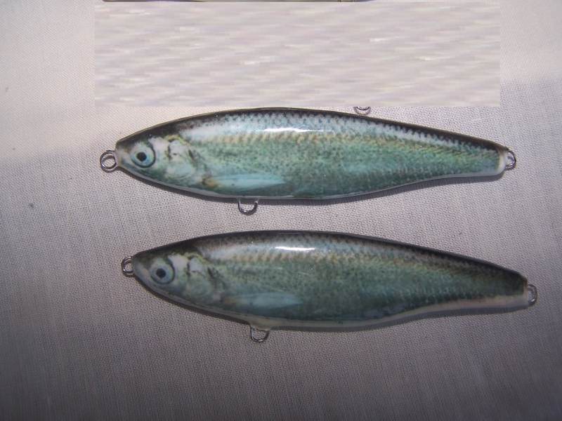 100_9002.JPG