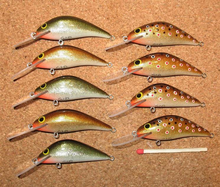 Zmiana rozmiaruPstrągowe 1 003.jpg