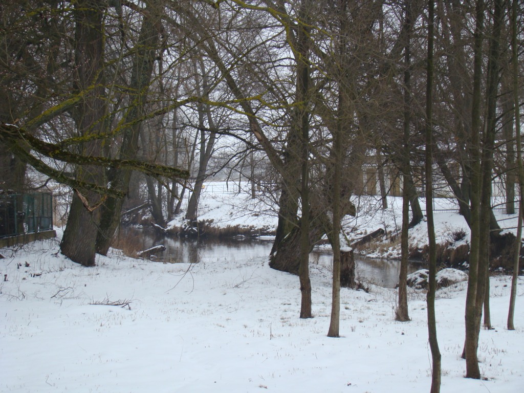DSC09879.JPG