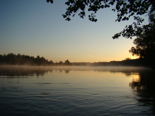 DSC08943.JPG