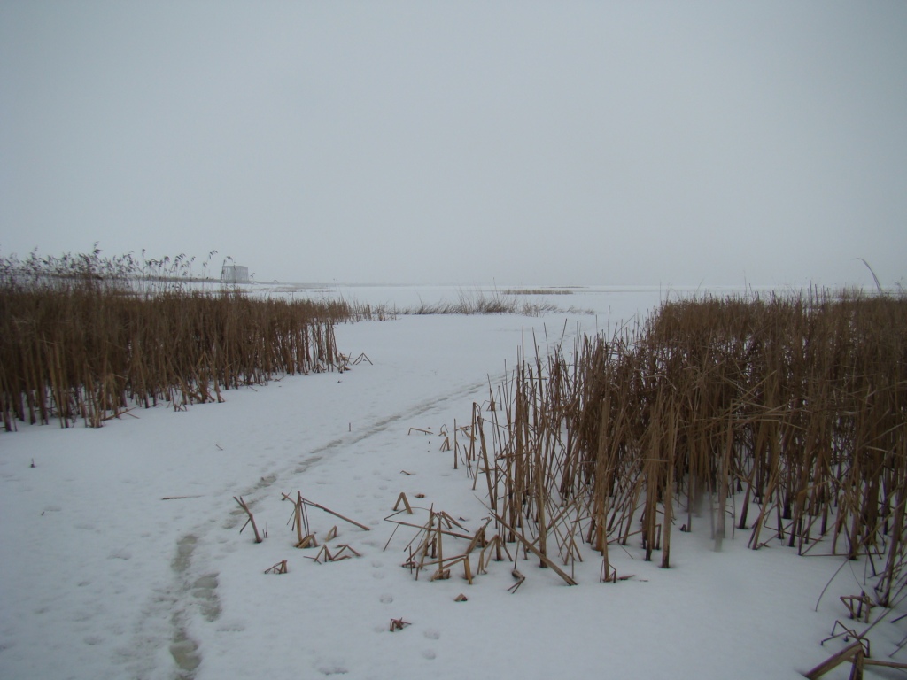 DSC09862.JPG
