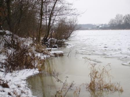 2008.01.11 045.jpg