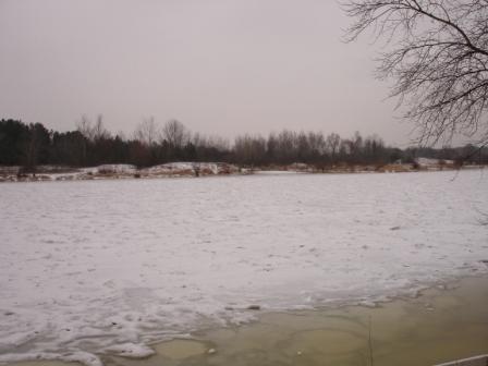 2008.01.11 026.jpg