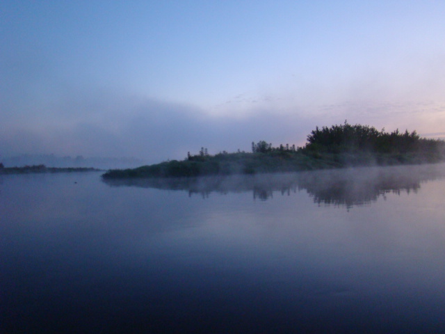 DSC08871.JPG