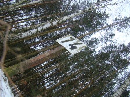 DSC09087.JPG