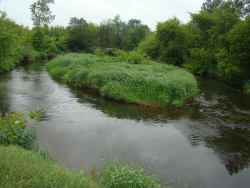 rz. Orzyc - wysepka.jpg