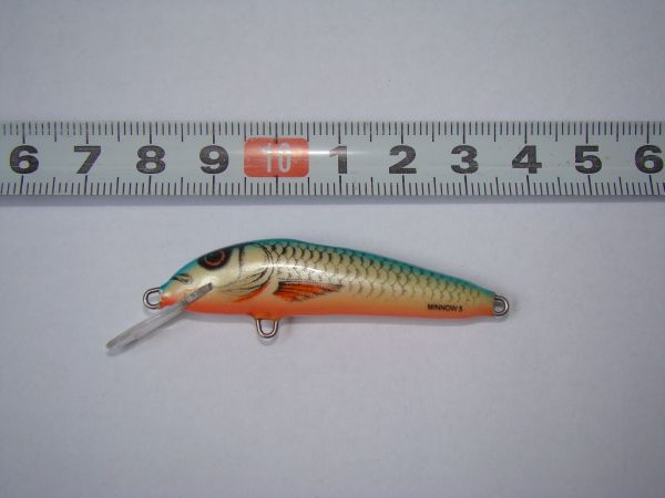 Salmo MINNOW 5cm F.jpg