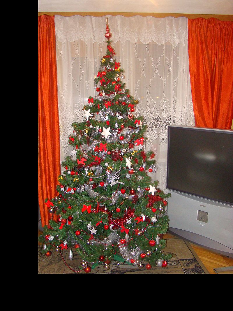 25122011 090.jpg