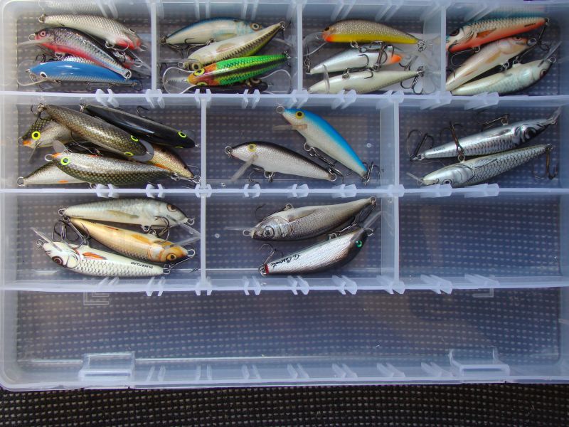 02062011 025.jpg