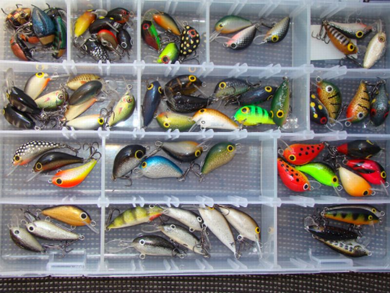 02062011 022.jpg