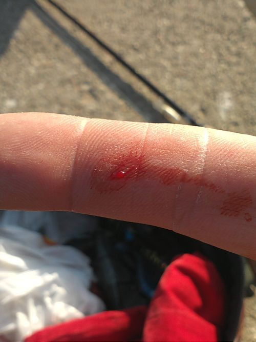 pamiatka po kleniu.jpg