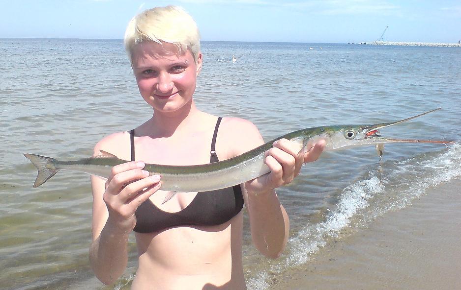 Pierwsza złowiona belona.JPG