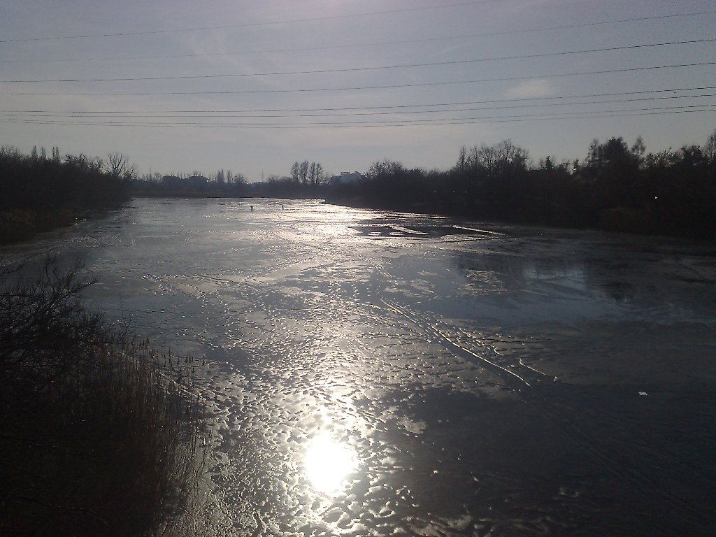 07022009184.jpg