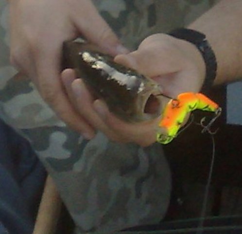 20090920347.jpg